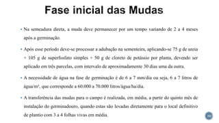  Na semeadura direta, a muda deve permanecer por um tempo variando de 2 a 4 meses
após a germinação.
 Após esse período deve-se processar a adubação na sementeira, aplicando-se 75 g de ureia
+ 105 g de superfosfato simples + 50 g de cloreto de potássio por planta, devendo ser
aplicado em três parcelas, com intervalo de aproximadamente 30 dias uma da outra.
 A necessidade de água na fase de germinação é de 6 a 7 mm/dia ou seja, 6 a 7 litros de
água/m², que corresponde a 60.000 a 70.000 litros/água/ha/dia.
 A transferência das mudas para o campo é realizada, em média, a partir do quinto mês de
instalação do germinadouro, quando estas são levadas diretamente para o local definitivo
de plantio com 3 a 4 folhas vivas em média. 24
 