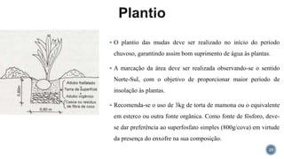  O plantio das mudas deve ser realizado no início do período
chuvoso, garantindo assim bom suprimento de água às plantas.
 A marcação da área deve ser realizada observando-se o sentido
Norte-Sul, com o objetivo de proporcionar maior período de
insolação às plantas.
 Recomenda-se o uso de 3kg de torta de mamona ou o equivalente
em esterco ou outra fonte orgânica. Como fonte de fósforo, deve-
se dar preferência ao superfosfato simples (800g/cova) em virtude
da presença do enxofre na sua composição.
25
 