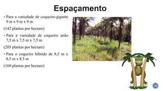  Para a variedade de coqueiro-gigante
9 m x 9 m x 9 m
(142 plantas por hectare)
 Para a variedade de coqueiro anão
7,5 m x 7,5 m x 7,5 m
(205 plantas por hectare)
 Para o coqueiro híbrido de 8,5 m x
8,5 m x 8,5 m
(160 plantas por hectare)
26
 