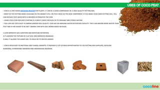 Cocoine Example COCOLINE VALUE ADDED.pdf