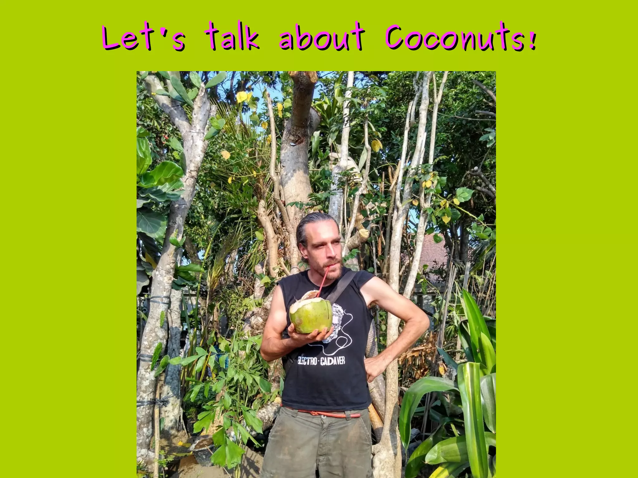 Let's talk about Coconuts!Let's talk about Coconuts!
 