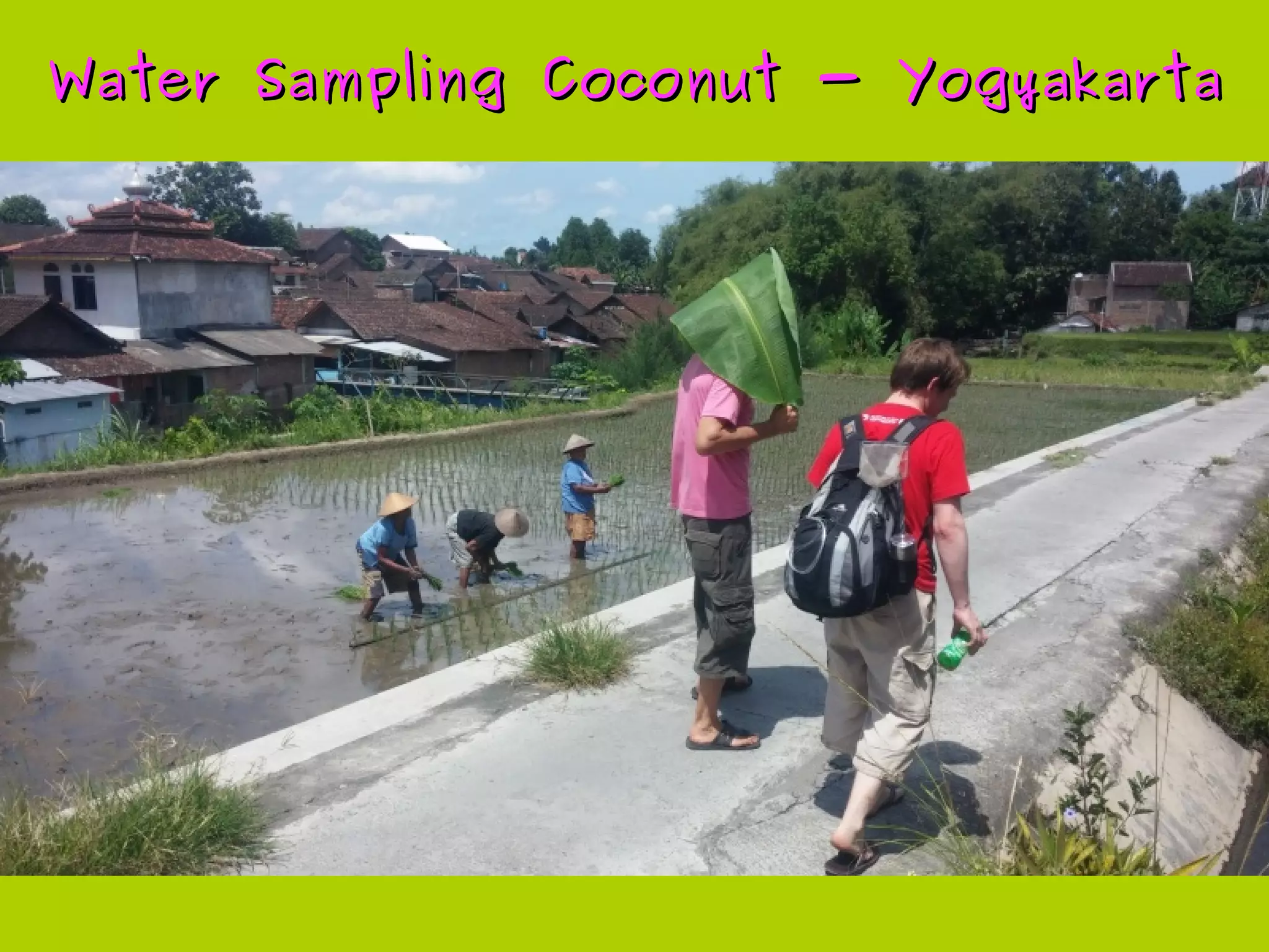 Smart CoconutsSmart Coconuts
for Stupid Citiesfor Stupid Cities
● IoC: Internet of Coconuts
● ESP 8266
● Water Sampling Coconut
● The Coconut Theremin
● QTouchADC and Mozzi Library
● Theremin Oscillator and FreqCount library
 