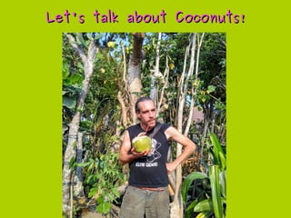 Let's talk about Coconuts!Let's talk about Coconuts!
 