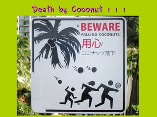Death by Coconut ! ! !Death by Coconut ! ! !
 