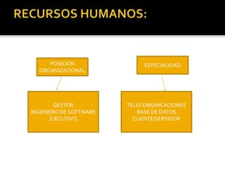 POSICION 
ORGANIZACIONAL 
GESTOR 
INGENIERO DE SOFTWARE 
EJECUTIVO 
ESPECIALIDAD 
TELECOMUNICACIONES 
BASE DE DATOS 
CLIENTE/SERVIDOR 
 