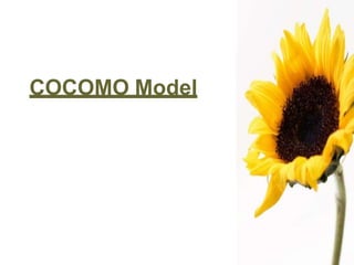 COCOMO Model
 