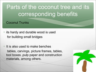 Parts of the coconut tree and its
corresponding benefits
 Coconut Trunks
∗ its hardy and durable wood is used
for building small bridges
∗ It is also used to make benches
tables, carvings, picture frames, tables,
tool boxes ,pulp paper and construction
materials, among others.

 