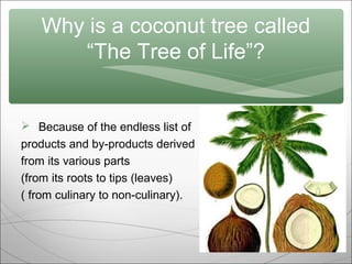 Why is a coconut tree called
“The Tree of Life”?

 Because of the endless list of
products and by-products derived
from its various parts
(from its roots to tips (leaves)
( from culinary to non-culinary).

 