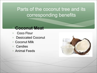 Parts of the coconut tree and its
corresponding benefits
 Coconut Meat
∗
∗
∗
∗
∗

Coco Flour
Desiccated Coconut
Coconut Milk
Candies
Animal Feeds

 
