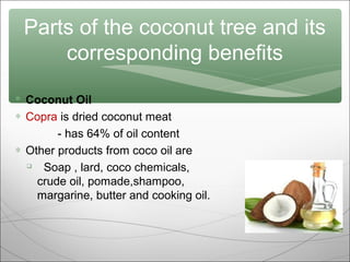 Parts of the coconut tree and its
corresponding benefits
 Coconut Oil
∗ Copra is dried coconut meat
- has 64% of oil content
∗ Other products from coco oil are

Soap , lard, coco chemicals,
crude oil, pomade,shampoo,
margarine, butter and cooking oil.

 