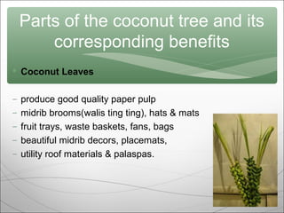 Parts of the coconut tree and its
corresponding benefits
 Coconut Leaves
–
–
–
–
–

produce good quality paper pulp
midrib brooms(walis ting ting), hats & mats
fruit trays, waste baskets, fans, bags
beautiful midrib decors, placemats,
utility roof materials & palaspas.

 