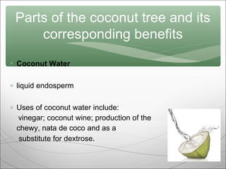 Parts of the coconut tree and its
corresponding benefits
 Coconut Water
∗ liquid endosperm
∗ Uses of coconut water include:
vinegar; coconut wine; production of the
chewy, nata de coco and as a
substitute for dextrose.

 