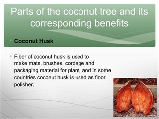 Parts of the coconut tree and its
corresponding benefits
 Coconut Husk
∗ Fiber of coconut husk is used to
make mats, brushes, cordage and
packaging material for plant, and in some
countries coconut husk is used as floor
polisher.

 