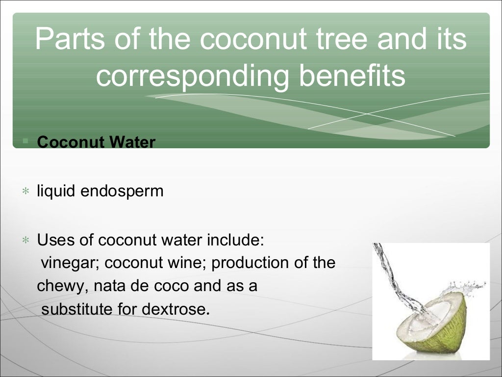 ?coconut tree essay Schiff bases synthesis essay our world essay introducing admissions process, you should certain things. ?coconut tree essay Schiff bases synthesis essay our world essay introducing admissions process, you should certain things.