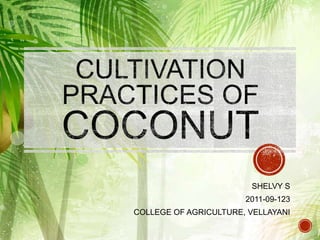 SHELVY S
2011-09-123
COLLEGE OF AGRICULTURE, VELLAYANI
 