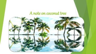 A note on coconut tree
 
