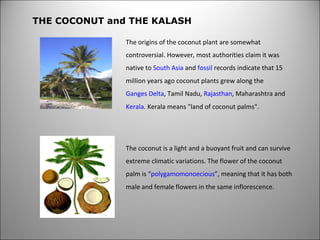 The coconut is a light and a buoyant fruit and can survive extreme climatic variations. The flower of the coconut palm is “ polygamomonoecious ”, meaning that it has both male and female flowers in the same inflorescence.  THE COCONUT and THE KALASH The origins of the coconut plant are somewhat controversial. However, most authorities claim it was native to  South Asia  and  fossil  records indicate that 15 million years ago coconut plants grew along the  Ganges Delta , Tamil Nadu,  Rajasthan , Maharashtra and  Kerala . Kerala means &quot;land of coconut palms&quot;. 