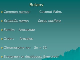  Common names: Coconut Palm,
 Scientific name: Cocos nucifera
 Family: Arecaceae
 Order: Arecales
 Chromosome no: 2n = 32
 Evergreen or deciduous: Evergreen
Botany
 