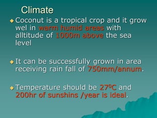 Climate
 Coconut is a tropical crop and it grow
wel in warm humid areas with
alltitude of 1000m above the sea
level
 It can be successfully grown in area
receiving rain fall of 750mm/annum.
 Temperature should be 270C and
200hr of sunshins /year is ideal.
 