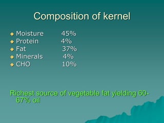 Composition of kernel
 Moisture 45%
 Protein 4%
 Fat 37%
 Minerals 4%
 CHO 10%
Richest source of vegetable fat yielding 60-
67% oil
 