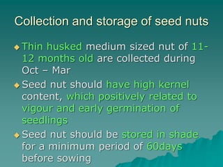 Collection and storage of seed nuts
 Thin husked medium sized nut of 11-
12 months old are collected during
Oct – Mar
 Seed nut should have high kernel
content, which positively related to
vigour and early germination of
seedlings
 Seed nut should be stored in shade
for a minimum period of 60days
before sowing
 