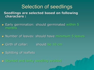 Selection of seedlings
Seedlings are selected based on following
characters :
 Early germination: should germinated within 5
months
 Number of leaves: should have minimum 5 leaves
 Girth of collar: should be 10 cm
 Splitting of leaflets
 Stunted and lanky seedling avoided
 