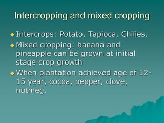 Intercropping and mixed cropping
 Intercrops: Potato, Tapioca, Chilies.
 Mixed cropping: banana and
pineapple can be grown at initial
stage crop growth
 When plantation achieved age of 12-
15 year, cocoa, pepper, clove,
nutmeg.
 