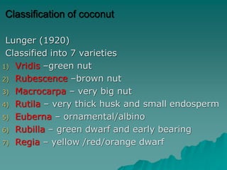 Classification of coconut
Lunger (1920)
Classified into 7 varieties
1) Vridis –green nut
2) Rubescence –brown nut
3) Macrocarpa – very big nut
4) Rutila – very thick husk and small endosperm
5) Euberna – ornamental/albino
6) Rubilla – green dwarf and early bearing
7) Regia – yellow /red/orange dwarf
 