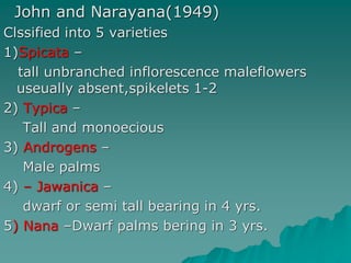 John and Narayana(1949)
Clssified into 5 varieties
1)Spicata –
tall unbranched inflorescence maleflowers
useually absent,spikelets 1-2
2) Typica –
Tall and monoecious
3) Androgens –
Male palms
4) – Jawanica –
dwarf or semi tall bearing in 4 yrs.
5) Nana –Dwarf palms bering in 3 yrs.
 