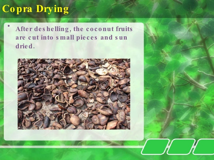 Coconut Processing