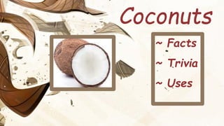 ~ Facts
~ Trivia
~ Uses
Coconuts
 