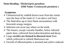 Coconut, Areca nut, and oil palm make by teacher .pdf