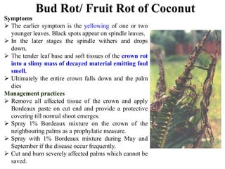 Bud Rot/ Fruit Rot of Coconut
Symptoms
 The earlier symptom is the yellowing of one or two
younger leaves. Black spots appear on spindle leaves.
 In the later stages the spindle withers and drops
down.
 The tender leaf base and soft tissues of the crown rot
into a slimy mass of decayed material emitting foul
smell.
 Ultimately the entire crown falls down and the palm
dies
Management practices
 Remove all affected tissue of the crown and apply
Bordeaux paste on cut end and provide a protective
covering till normal shoot emerges.
 Spray 1% Bordeaux mixture on the crown of the
neighbouring palms as a prophylatic measure.
 Spray with 1% Bordeaux mixture during May and
September if the disease occur frequently.
 Cut and burn severely affected palms which cannot be
saved.
 