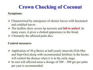 Symptoms
 Characterised by emergence of shorter leaves with fascinated
and crinkled leaves.
 The leaflets show severe tip necrosis and fail to unfurl. In
many cases, it gives a choked appearance to the frond.
 Ultimately the affected palm dies.
Control measures
 Application of 50 g Borax at half-yearly intervals (Feb-Mar
and Sept-Oct) along with recommended fertilizer in the basins
will control the disease when it is in the early stage.
 In root wilt affected areas a dosage of 200 – 300 gm per palm
per year is recommended.
Crown Chocking of Coconut
 