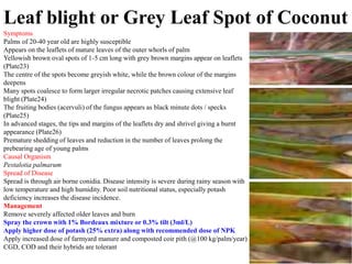 Symptoms
Palms of 20-40 year old are highly susceptible
Appears on the leaflets of mature leaves of the outer whorls of palm
Yellowish brown oval spots of 1-5 cm long with grey brown margins appear on leaflets
(Plate23)
The centre of the spots become greyish white, while the brown colour of the margins
deepens
Many spots coalesce to form larger irregular necrotic patches causing extensive leaf
blight (Plate24)
The fruiting bodies (acervuli) of the fungus appears as black minute dots / specks
(Plate25)
In advanced stages, the tips and margins of the leaflets dry and shrivel giving a burnt
appearance (Plate26)
Premature shedding of leaves and reduction in the number of leaves prolong the
prebearing age of young palms
Causal Organism
Pestalotia palmarum
Spread of Disease
Spread is through air borne conidia. Disease intensity is severe during rainy season with
low temperature and high humidity. Poor soil nutritional status, especially potash
deficiency increases the disease incidence.
Management
Remove severely affected older leaves and burn
Spray the crown with 1% Bordeaux mixture or 0.3% tilt (3ml/L)
Apply higher dose of potash (25% extra) along with recommended dose of NPK
Apply increased dose of farmyard manure and composted coir pith (@100 kg/palm/year)
CGD, COD and their hybrids are tolerant
Leaf blight or Grey Leaf Spot of Coconut
 