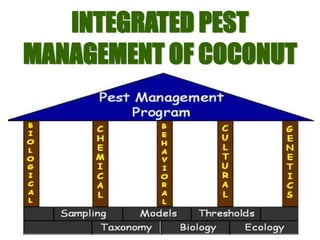 INTEGRATED PEST
MANAGEMENT OF COCONUT
 