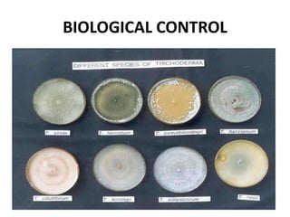 BIOLOGICAL CONTROL
 