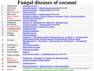 Fungal diseases of coconut
1 Algal leaf spot Cephaleuros virescens
2 Anthracnose Glomerella cingulata = Colletotrichum gloeosporioides [anomorph]
3 Bitten leaf Ceratocystis paradoxa = Chalara paradoxa [anomorph]
4 Bipolaris leaf spot Bipolaris incurvata
5 Black scorch Ceratocystis paradoxa = Chalara paradoxa [anomorph]
6
Bud rot / Nut fall /
Fruit rot
Phytophthora palmivora, P. heveae, P. katsurae, P. nicotianae, P. arecae, Fusarium moniliforme,
Fusarium solani, Graphium sp.
7 Catacauma leaf spot Catacauma mucosum
8 Damping-off Fusarium spp., Phytophthora spp., Pythium spp., Rhizoctonia solani
9 Dry basal rot Ceratocystis paradoxa = Chalara paradoxa [anomorph]
10 Ganoderma butt rot Ganoderma boninense, G. tornatum, G. zonatum
11 Graphiola leaf spot Graphiola phoenicis
12 Gray leaf blight Pestalotiopsis palmarum
13 Koleroga Phytophthora arecae
14 Leaf blight Cytospora palmarum
15 Leaf spots
Alternaria sp., Botryosphaeria disrupta, Capitorostrum cocoes, Cercospora sp., Curvularia lunata,
Cylindrocladium pteridis, Drechslera gigantea, Drechslera halodes, Epicoccum nigrum,
Helminthosporium sp., Macrophoma sp., Macrosporium cocos, Melanconium sp., Mycosphaerella
palmicola
16 Lethal bole rot Marasmiellus cocophilus
17 Lixa grande Sphaerodothis acrocomiae
18 Lixa pequena Phyllachora torrendiella
19 Powdery mildew Oidium sp.
20 Queima das folhas
Botryosphaeria cocogena = Lasiodiplodia theobromae [anomorph]
21 Root rot Fusarium spp., Phytophthora spp., Pythium spp., Rhizoctonia solani,
22 Stem bleeding Ceratocystis paradoxa, Chalara paradoxa
23
Stigmina leaf spot
Stigmina palmivora
24 Thread blight Pellicularia filamentosa, Pellicularia koleroga, Corticium penicillatum
25 Leaf rot
Colletotrichum gloeosporioides, Exserohilum rostratum, Gliocladium vermoeseni, Fusarium solani, F.
moniliforme var. intermedium, Thielaviopsis paradoxa and Rhizoctonia solani
 