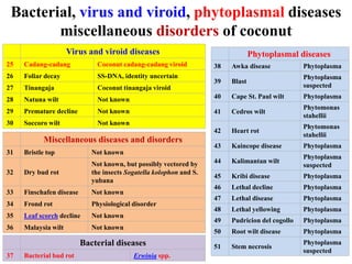 Bacterial, virus and viroid, phytoplasmal diseases
miscellaneous disorders of coconut
Bacterial diseases
37 Bacterial bud rot Erwinia spp.
Virus and viroid diseases
25 Cadang-cadang Coconut cadang-cadang viroid
26 Foliar decay SS-DNA, identity uncertain
27 Tinangaja Coconut tinangaja viroid
28 Natuna wilt Not known
29 Premature decline Not known
30 Soccoro wilt Not known
Phytoplasmal diseases
38 Awka disease Phytoplasma
39 Blast
Phytoplasma
suspected
40 Cape St. Paul wilt Phytoplasma
41 Cedros wilt
Phytomonas
stahellii
42 Heart rot
Phytomonas
stahellii
43 Kaincope disease Phytoplasma
44 Kalimantan wilt
Phytoplasma
suspected
45 Kribi disease Phytoplasma
46 Lethal decline Phytoplasma
47 Lethal disease Phytoplasma
48 Lethal yellowing Phytoplasma
49 Pudricion del cogollo Phytoplasma
50 Root wilt disease Phytoplasma
51 Stem necrosis
Phytoplasma
suspected
Miscellaneous diseases and disorders
31 Bristle top Not known
32 Dry bud rot
Not known, but possibly vectored by
the insects Sogatella kolophon and S.
yubana
33 Finschafen disease Not known
34 Frond rot Physiological disorder
35 Leaf scorch decline Not known
36 Malaysia wilt Not known
 