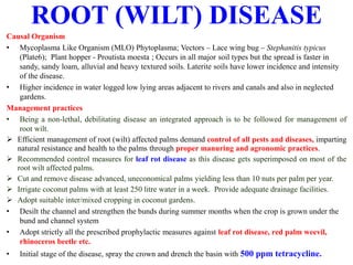 Causal Organism
• Mycoplasma Like Organism (MLO) Phytoplasma; Vectors – Lace wing bug – Stephanitis typicus
(Plate6); Plant hopper - Proutista moesta ; Occurs in all major soil types but the spread is faster in
sandy, sandy loam, alluvial and heavy textured soils. Laterite soils have lower incidence and intensity
of the disease.
• Higher incidence in water logged low lying areas adjacent to rivers and canals and also in neglected
gardens.
Management practices
• Being a non-lethal, debilitating disease an integrated approach is to be followed for management of
root wilt.
 Efficient management of root (wilt) affected palms demand control of all pests and diseases, imparting
natural resistance and health to the palms through proper manuring and agronomic practices.
 Recommended control measures for leaf rot disease as this disease gets superimposed on most of the
root wilt affected palms.
 Cut and remove disease advanced, uneconomical palms yielding less than 10 nuts per palm per year.
 Irrigate coconut palms with at least 250 litre water in a week. Provide adequate drainage facilities.
 Adopt suitable inter/mixed cropping in coconut gardens.
• Desilt the channel and strengthen the bunds during summer months when the crop is grown under the
bund and channel system
• Adopt strictly all the prescribed prophylactic measures against leaf rot disease, red palm weevil,
rhinoceros beetle etc.
• Initial stage of the disease, spray the crown and drench the basin with 500 ppm tetracycline.
ROOT (WILT) DISEASE
 