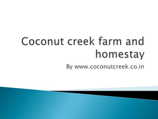 By www.coconutcreek.co.in
 
