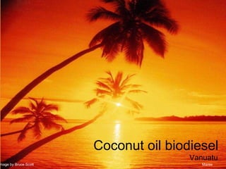 Coconut oil biodiesel Vanuatu Image by Bruce Scott Maree 