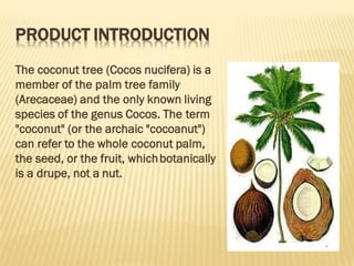 Coconut project looking for Co-Founder as the Investor | PPT