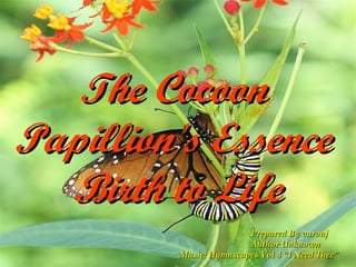 The Cocoon  Papillion's Essence  Birth to Life Prepared By varouj Author Unknown Music: Hymnscapes Vol 4 “I Need Thee”  