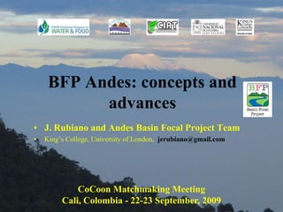 BFP Andes: concepts and advances ,[object Object]
