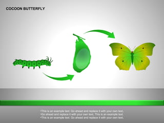 COCOON BUTTERFLY
•This is an example text. Go ahead and replace it with your own text.
•Go ahead and replace it with your own text. This is an example text.
•This is an example text. Go ahead and replace it with your own text.
 