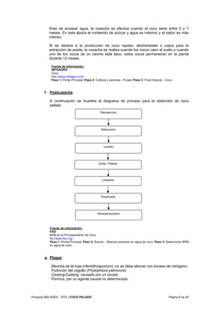 Proyecto BID-ADEX – RTA / COCO PELADO Página 6 de 20
fines de envasar agua, la cosecha se efectúa cuando el coco tiene entre 5 y 7
meses. En esta época el contenido de azúcar y agua es máximo y el sabor es más
intenso.
Si se destina a la producción de coco rayado, deshidratado o copra para la
extracción de aceite, la cosecha se realiza cuando los cocos caen al suelo o cuando
uno de los cocos de un racimo está seco, estos cocos permanecen en la planta
durante 12 meses.
Fuente de información:
INFOAGRO
Coco
http://www.infoagro.com/
Paso 1: Portal Principal; Paso 2: Cultivos y sectores - Frutas; Paso 3: Fruta tropical – Coco
f. Postcosecha
A continuación se muestra el diagrama de proceso para la obtención de coco
pelado.
Fuente de información:
FAO
BPM en el Procesamiento de Coco
ftp://www.fao.org/
Paso 1: Portal Principal; Paso 2: Buscar – Buenas practicas en agua de coco; Paso 3: Seleccionar BPM
en agua de coco.
g. Plagas
Mancha de la hoja (Hemilthosporium), no se debe abonar con exceso de nitrógeno.
Pudrición del cogollo (Phytophtora palmivora)
Cadang-Cadang, causado por un viroide
Porroca, por un agente causal no determinado.
Corte / Pelado
Lavado
Empacado
Almacenamiento
Recolección
Selecciona
Limpieza
 