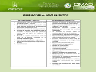 ANALISIS DE EXTERNALIDADES SIN PROYECTO 
 