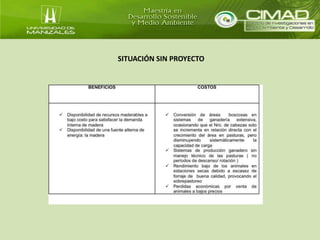 SITUACIÓN SIN PROYECTO 
 