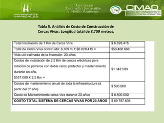 Tabla 5. Análisis de Costo de Construcción de 
Cercas Vivas: Longitud total de 8.709 metros. 
 
